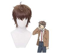 ydound Cosplay Wig Azusagawa Sakuta Perruque Cosplay Costume Rascal ne rêve Pas de Bunny Girl Senpai Cheveux résistants à la Chaleur Halloween fête Perruques KEEBON