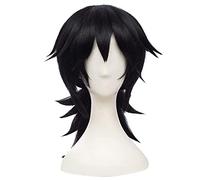 ydound Cosplay Wig Kimetsu no Yaiba Giyuu Tomioka Cosplay Perruque (Noir)