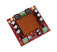 YDuupxe Carte Amplificateur de Puissance Numérique TPA3116DA Mono Canal avec Performances Haute fidélité pour Usage Professionnel et Instruments