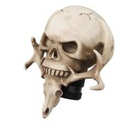 YDXHERTA Pommeau De Levier De Vitesse En Forme De Crâne Adapté À La Transmission Manuelle Universelle Accessoires De Décoration Intérieure Automobile Pièces Automobiles(Wit)