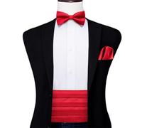 YDYAENIO Ensemble de nœud Papillon Rouge Cummerbund, Corset de Smoking Formel, Ceinture élastique for Hommes, Ceintures de Mariage for Mariage Formel, Bal, Dîner, Fête(Color7)