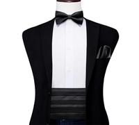 YDYAENIO Ensemble de nœud Papillon Rouge Cummerbund, Corset de Smoking Formel, Ceinture élastique for Hommes, Ceintures de Mariage for Mariage Formel, Bal, Dîner, Fête(Color5)
