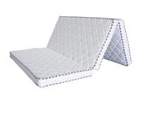 YDYAENIO Matelas Rigide en Fibre de Coco, Matelas Pliant, for Enfants, Coussin pour Camping, Appoint(Color 1,100x190cm)