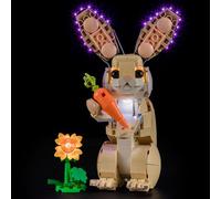 YEABRICKS LED Lumière pour Lego-31162 Creator 3-in-1 L’Adorable Lapin Modèle de Blocs de Construction (Ensemble Lego Non Inclus)