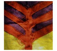 Yeah Yeah Yeahs - Show Your Bone [Import]