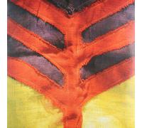 Yeah Yeah Yeahs Show Your Bones (Vinyl)