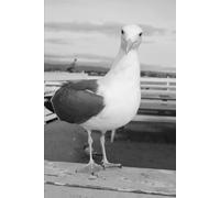 Year of Pride, Power & Possibility: A 12-Month Journal for the Gay and LGBTQ+ Community