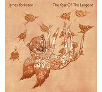 Year of The Leopard