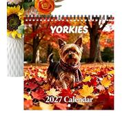 Yearly Wall Calendar - 21x21cm 145g (1 Piece) Office School Planner