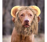 Yechiry Perruque de Lion pour Animaux de Compagnie, Chapeau, Costume Amusant, Peluche Douce pour Chat et Chien, Photographie Chaude d'hiver