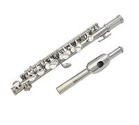 Yechiry Piccolo en C plaqué Argent avec Design Détachable pour un Meilleur Ton, Comprend un Ensemble D'outils de Nettoyage, pour Musiciens et Débutants, Acier Inoxydable, or (SILVER)