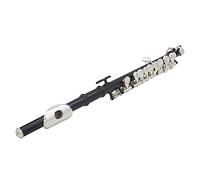 Yechiry Piccolo en C plaqué Argent avec Design Détachable pour un Meilleur Ton, Comprend un Ensemble D'outils de Nettoyage, pour Musiciens et Débutants, Acier Inoxydable, or (BLACK)