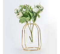 Yechiry Vases de Plantes Hydroponiques Jardinières en Verre, Transparente, Ventilation, Esthétique Moderne, avec Un Tuyau en Acier Inoxydable et en Verre pour la Menthe Scindapsus, Les Hydrocotyle