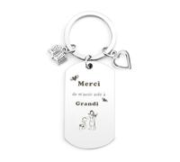 Yeeaulpa Cadeau Maitresse, Cadeau Maitresse D'École, Cadeau Maitre D'École, Merci Maitresse Cadeau, Cadeau Professeur, Cadeau Maitresse d Ecole, Cadeau Merci Maitresse, Porte Clef Maitresse D'École
