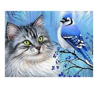 Yeecer DIY Diamond Painting Kit Complet,Chat oiseau bleu 5D Peinture Diamant Complet by Numbers Cristal Strass Broderie Diamond Point De Croix Canevas Artisanat Décoration Murale À La Maison 40x60cm