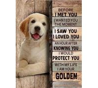YEEIFFD Kit de peinture diamant 5D Golden Retriever Before I Met You Dog - Kit d'art diamant pour la maison - Parfait pour la maison et le bureau - Décoration murale - 30,5 x 40,6 cm