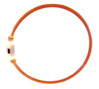 yeeplant Collier de sécurité pour animal de compagnie : LED clignotante rechargeable par USB pour chiens de petite, moyenne et grande taille, visibilité réglable