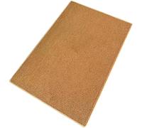 yeeplant Griffoir pour Chat Taille L en Velours à Boucle Ananas, Tapis Brun en Polyester pour Chats Jusqu’à 25 LB, Surface antidérapante, 50 x 80 cm, protège Les Meubles et Offre Un Confort apaisant