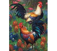 Yeerum DIY 5D Diamond Painting Fleur de Poulet Complet Accessoires, Animal Broderie Peinture Diamant Painting Kit Complet Point De Croix Cristal Strass Artisanat Décoration De La Maison 30x40cm MO2