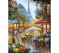 YEESAM ART Art Art Art Peinture à l'huile sur la route romantique de fleurs Tour Eiffel Peinture par numéros pour adultes 16 x 20 pouces DIY Peinture à l'huile Art mural (tour Eiffel, avec cadre)