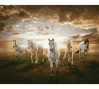 YEESAM ART Peinture Numero Cinq Chevaux Animaux, Bricolage Peinture par Numero 40x50 cm Acrylique Decoration Murale