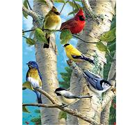 YEESAM ART Peinture Numero Perroquet Oiseaux Colorés, Bricolage Peinture par Numero 40x50 cm Acrylique Decoration Murale