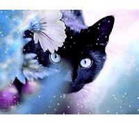 YEESAM ART peinture par numero, Chat Noir peinture numero 40x50 cm bricolage acrylique Paint by Numbers (Chat, avec cadre)