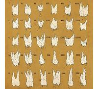 Yeesh - Confirmation Bias -Digi-