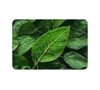 yefan Green Leaf Naturefront Paillasson absorbant et antidérapant 60 x 40 cm pour entrée, chambre à coucher