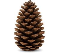 Yegookay Lot de 10 pommes de pin de Noël - Décoration de sapin de Noël - Plusieurs tailles - Naturelles - 10-14 cm