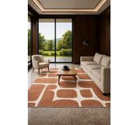 YEGRFJIS Tapis Abstrait Moderne - 200x300cm - Motif Blocs organiques Terracotta, Doux, en Imitation Cachemire, à Poils Courts, Lavable et antidérapant, idéal pour Le Salon et la Chambre