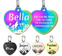 YEHANTI Medaille Chien avec Gravure Personnalisée, Médaille Chien et Chat Identification Gravée, Medaille Pour Chien en Acier Inoxydable avec Prénom Adresse Tel Gravés(S, Multicolore)