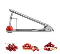YEJAHY 1 pièce dénoyauteur de cerise, dénoyauteur en acier inoxydable, dénoyauteur de cerise, dénoyauteur de prune, pour enlever rapidement les noyaux de fruits
