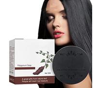 Yelewy Barre De Shampoing Pour Cheveux Noirs Et Épais, Bâton De Shampooing Polygonum Multiflorum, Hydrate Et Répare Les Cheveux Abîmés