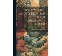 Yellow Birch And Its Relation To The Adirondack Forest