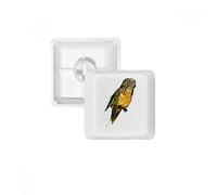 Yellow Budgie Parrot Bird PBT Touches pour Clavier mécanique Blanc R4 Multicolore