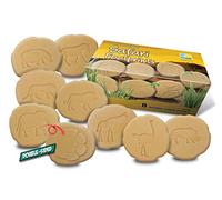 Yellow Door Let's Investigate Lot de pierres empreintes de pieds de safari