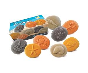 Yellow Door Let's Investigate Seashore | Apprentissage éducatif précoce | STEM | Kit de bord de mer fossile | Enfants âgés de 2, 3, 4, 5 ans | Jeu d'eau | Jeu de sable | Jeu océanique | Jeu désordonné