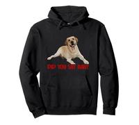 Yellow Lab Did You Say Ball Labrador Lover Dog Owner Sweat à Capuche