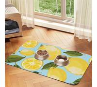 Yellow Lemon The Arts,Waterproof Pet Feeding Mat,PU Leather Placemats for Cat Dog Water Bowl,Food Mats,40x60cm