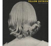 Yellow Ostrich - The Mistress