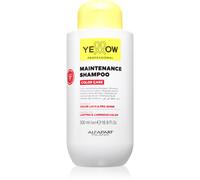 Yellow Professional Color Care Maintenance Shampoo shampoing pour cheveux colorés 500 ml