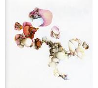 Yellow Swans - at All Ends [Import]