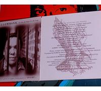 Yellowbank, James - Not Singer It's The Song