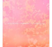 Yellowcard, Hammock - Un signe d'espoir