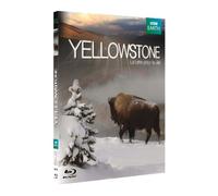 YELLOWSTONE