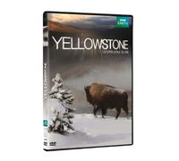 YELLOWSTONE
