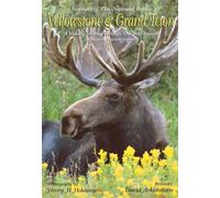 Yellowstone and Grand Teton - Seasons of the National Parks