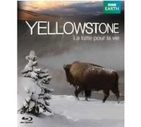 Yellowstone - Blu-Ray E
