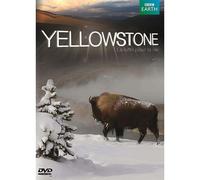 Yellowstone, La Lutte Pour La Vie